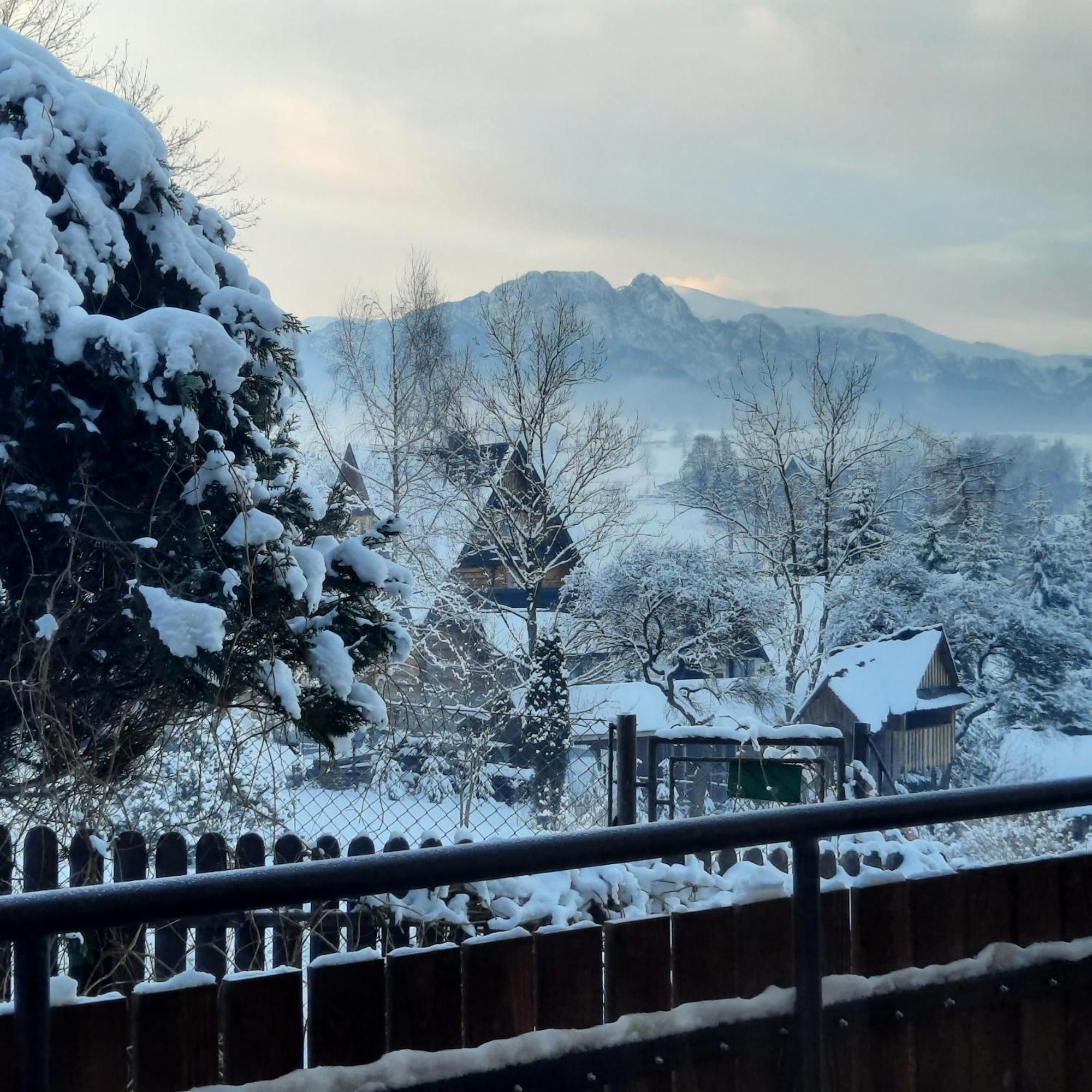 Willa U Bzyka Zakopane Bagian luar foto