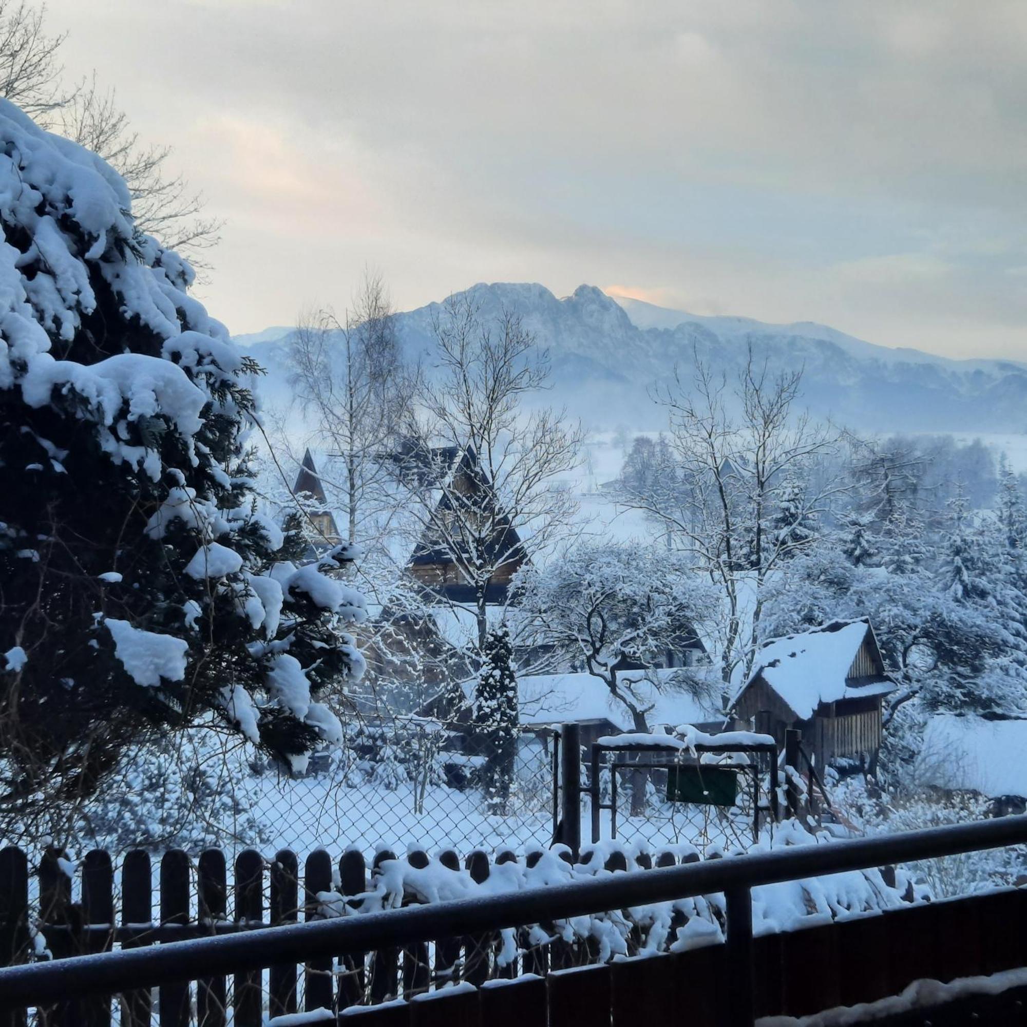 Willa U Bzyka Zakopane Bagian luar foto
