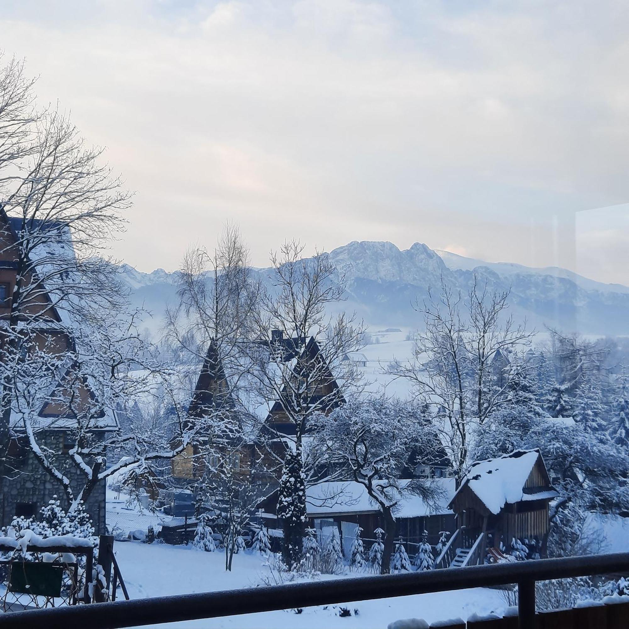 Willa U Bzyka Zakopane Bagian luar foto